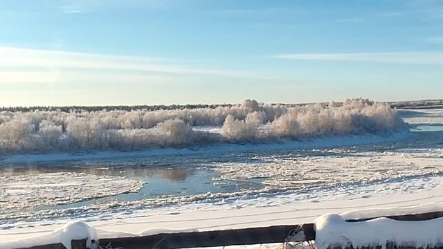 Жуковы// Вкусная, полезная домашняя еда - это не про них// Обзор видео//