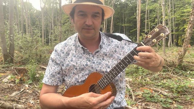 Just The Good ‘Ol Boys. Theme From The Dukes Of Hazzard By Waylon Jennings. Ukulele (Tutorial)