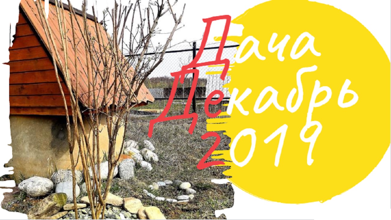 Дача в декабре 2019. Европейская зима) смотреть онлайн