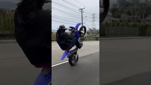 Any #sumo riders in here? смотреть онлайн