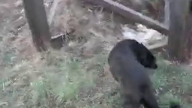 Как открыть в себе сверхспособности! А надо ли это смотреть онлайн