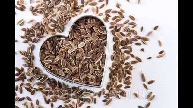 СЕМЕНА УКРОПА - ЛЕЧЕБНЫЕ СВОЙСТВА И ПРОТИВОПОКАЗАНИЯ смотреть онлайн