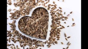 СЕМЕНА УКРОПА - ЛЕЧЕБНЫЕ СВОЙСТВА И ПРОТИВОПОКАЗАНИЯ