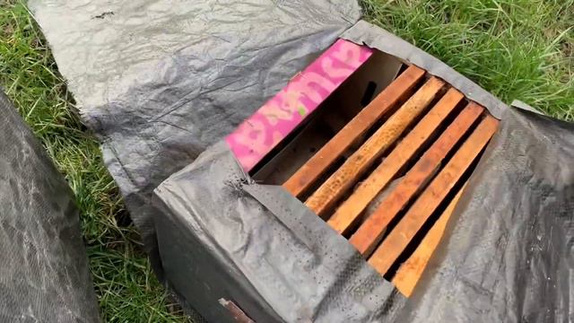 КАК СДЕЛАТЬ РОЕВНЮ ДЛЯ ПЧЕЛ ЗА 10 МИНУТ