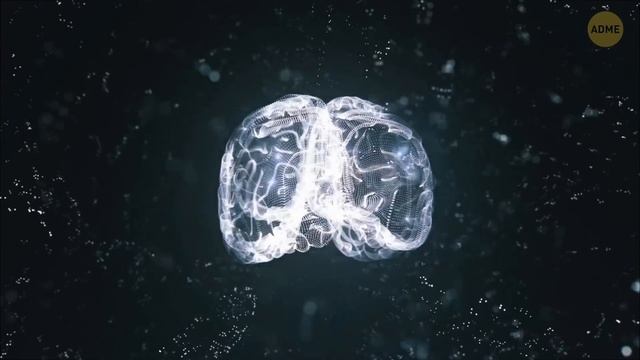 Тенденции в области ухода за волосами