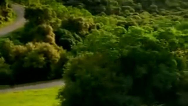 Relaxing Car Drive