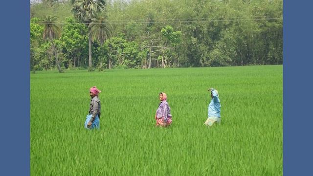 Индия смотреть онлайн