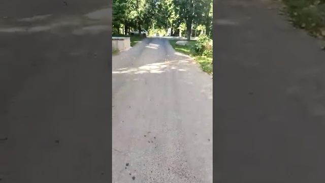 Уборка улицы в Белых Столбах смотреть онлайн