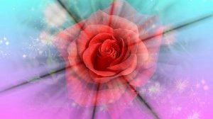 Футаж. Цветочный фон 191