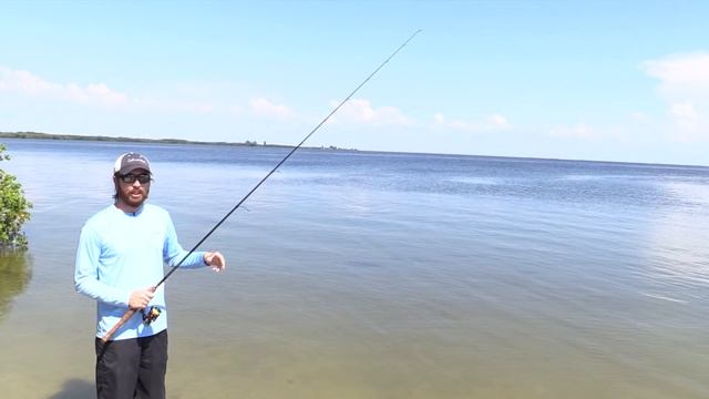 How To Properly Retrieve Berkley Gulp Shrimp For More Bites! смотреть онлайн