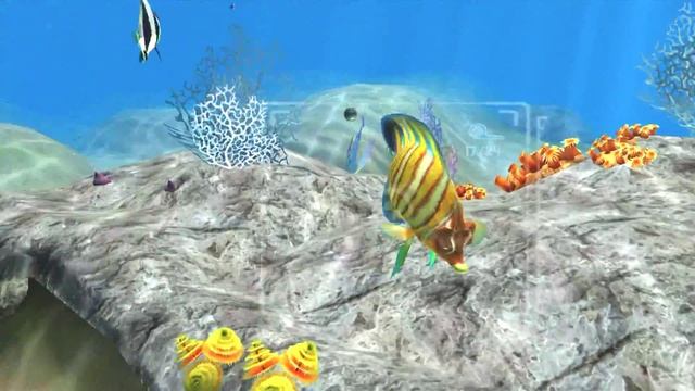 Let's Play - Sealife Safari смотреть онлайн