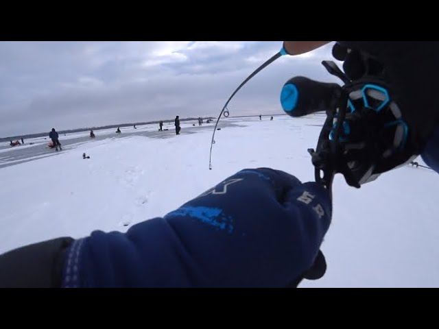 ГЛУБИНА 1 МЕТР! ПЕРВЫЙ ЛËД!!! ЯРЫЕ ПОКЛËВКИ ЭТИХ РЫБ АЖ СЕРДЦЕ ЗАМИРАЕТ! смотреть онлайн