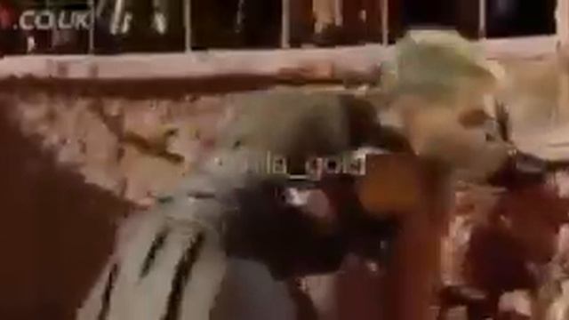 Чанги барселона бо реал мадрид лайк монен смотреть онлайн