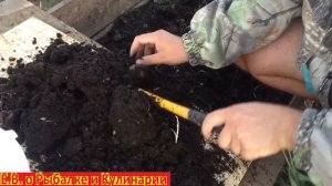 Как развести червей для рыбалки. Разводим червей для рыбалки.Где и как разводить червей для рыбалки