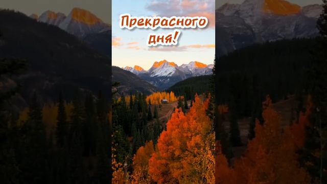 С добрым утром! Прекрасного дня! смотреть онлайн