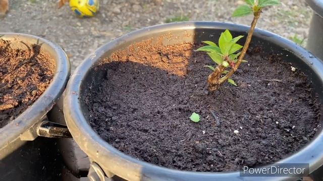 Не красиво??? Будем делать очень красиво!!! смотреть онлайн
