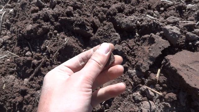 Такие места это рай для кладоискателя! Коп монет с XP Gold Maxx Power смотреть онлайн