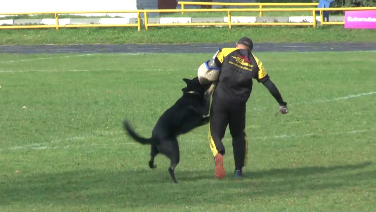 2020 09 25 IGP3 C Zak