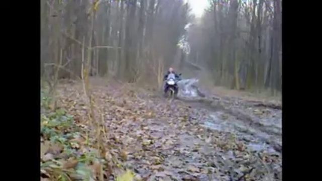 По грязи через лес Africa Twin XRV 750