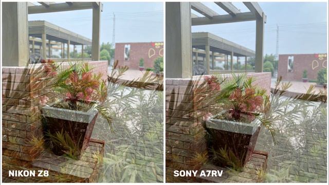 Nikon Z8 VS Sony A7RV | Camera Test | NIKON Z8 смотреть онлайн