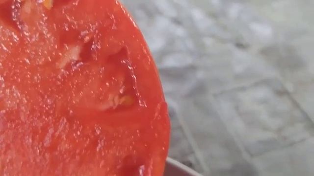 Томат Фатима в открытом грунте.