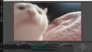 Как поставить вместо своей вебки гифку или картинку.