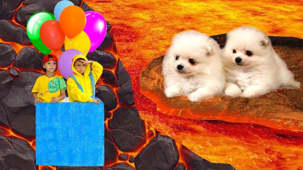 Марк как супергерой спасает собачек Симбу и Мию в истории для деток Пол - это Лава смотреть онлайн