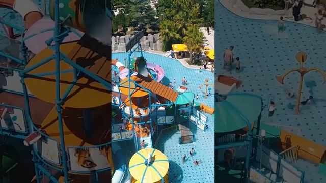 Aqua Dolphin Reels 10 смотреть онлайн