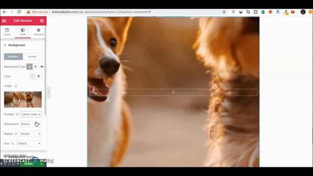How to add a background image using Elementor in WordPress смотреть онлайн