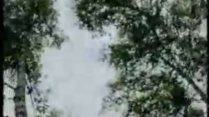 Габдельфат Сафин  Венера Шамиева   Хыянэт