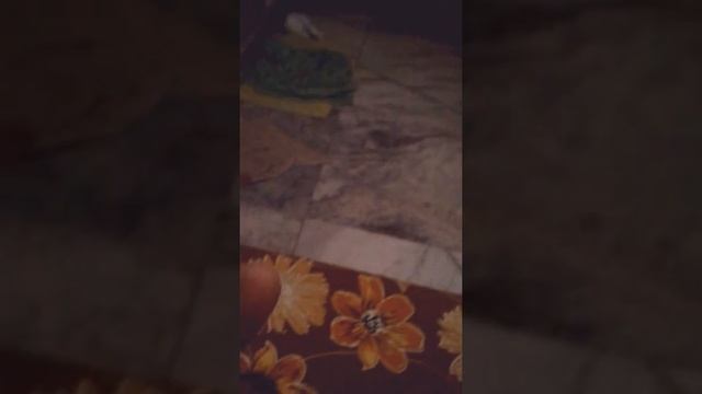 Oriflame love nature cleansing gel смотреть онлайн