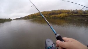 Тестирую спиннинг JS Nixx Pop Inshore