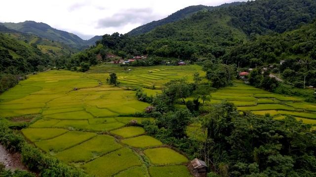 Flute Music | Himalayan Flute Music | Relaxing Music | (बाँसुरी) Aparmita Ep. 143 смотреть онлайн