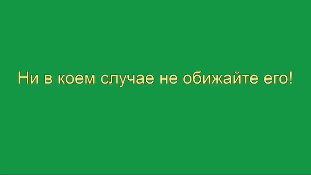 [Fanmade] Sehun - Реклама! смотреть онлайн