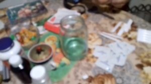 Выращивания индюков с 1 дня