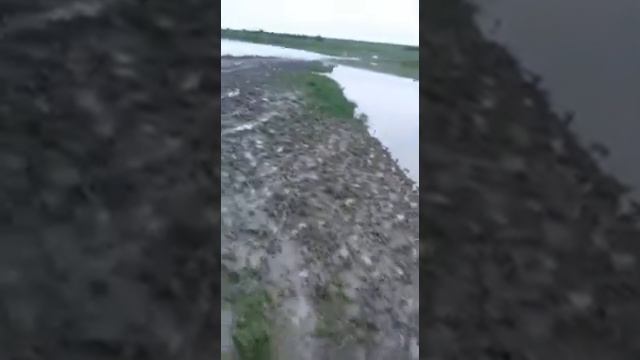 Потоп в с.Солуно-Дмитриевском смотреть онлайн