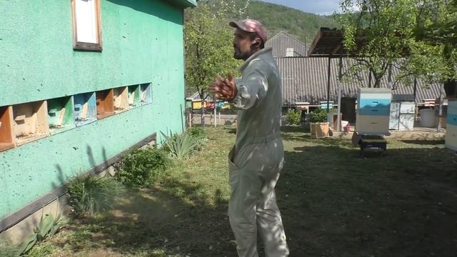 Смотровой улей . Продолжение 10.05.2020 смотреть онлайн