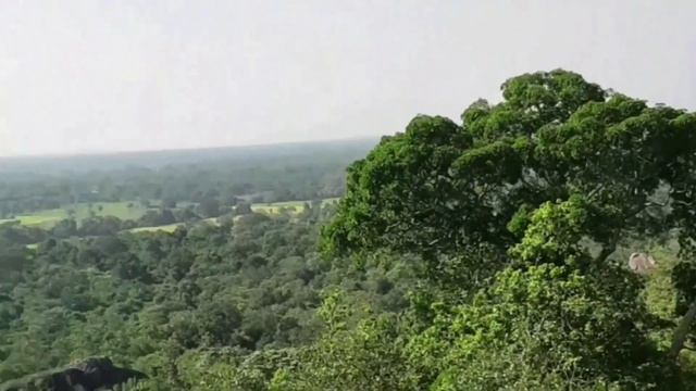 Шри Ланка. Обзор: особенности, природа, достопримечательности смотреть онлайн