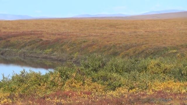 Одна через Чукотку. Часть 15. Страшная Мечигменская тундра. Alone through Chukotka. Part 15. смотреть онлайн