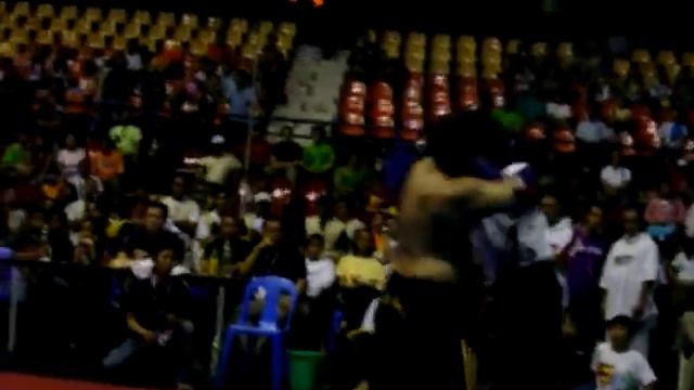 HYBRID YAW-YAN FIGHTER VICENTE PAJARO WON @ TOUGHGUYS INTERNATIONAL смотреть онлайн