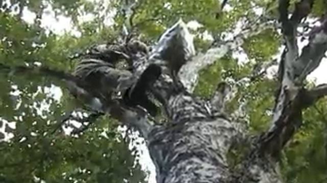 Другая Камчатка 03 смотреть онлайн