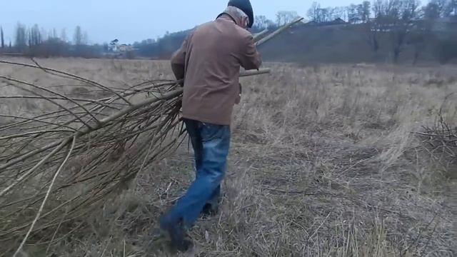 Заготовка ивы для теплых грядок Розума | Заготовка верби для теплих грядок Розума смотреть онлайн