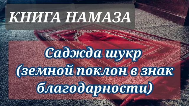 24. Земной поклон в знак благодарности смотреть онлайн