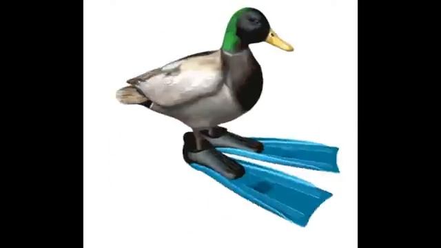 Утка крутиться под токийский дрифт 10 часов смотреть онлайн