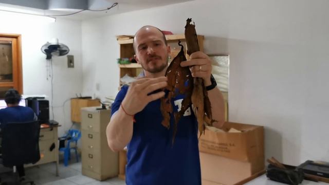 Аллегория табачного листа смотреть онлайн