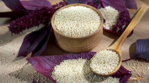 АМАРАНТ - ПОЛЬЗА И ВРЕД.  ЧЕМ ПОЛЕЗНЫ СЕМЕНА АМАРАНТА / СЕКРЕТЫ ДОЛГОЛЕТИЯ