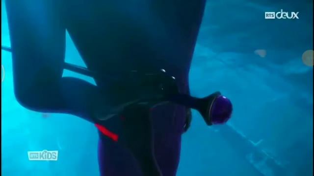 Новая история Бражника