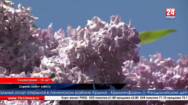 «Силенгарию- 10 лет» смотреть онлайн