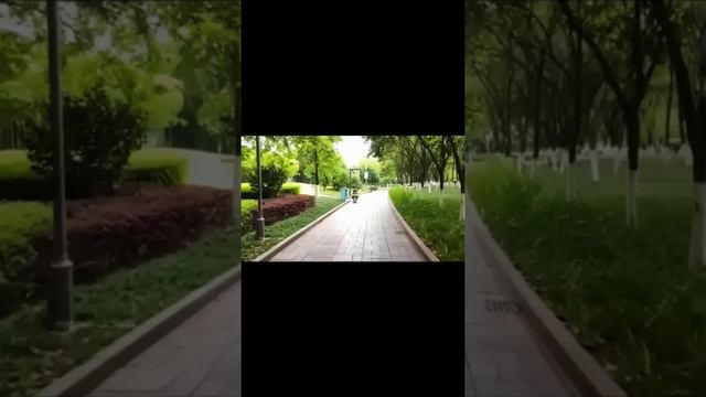 Стабилезатор.