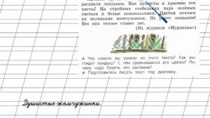 Страница 129 Упражнение 225 «Повторение» - Русский язык 2 класс (Канакина, Горецкий) Часть 2